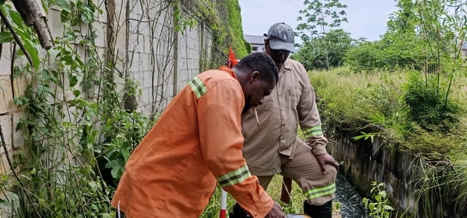 Can Surveying Services Help Prevent Property Disputes?